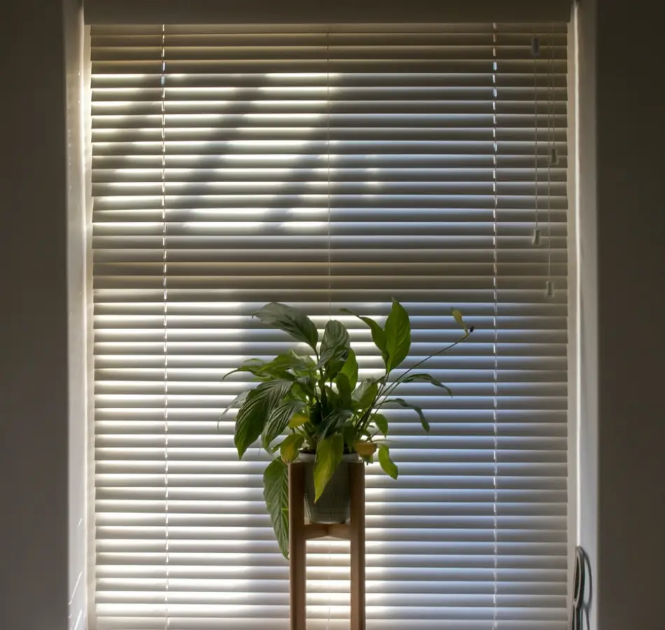 Window Blinds Image
